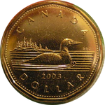 canadian_loonie_canada_$1_coins_loonies-dollar_stores